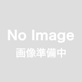 DJI 65W ポータブル充電器